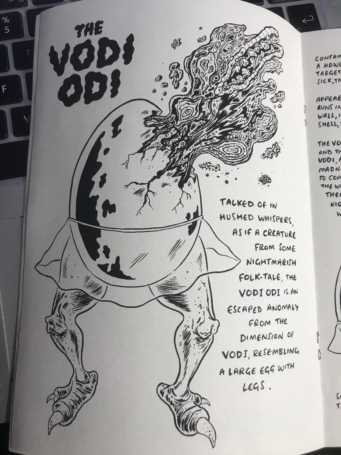 'Zealots of the Black Enigma' Zine