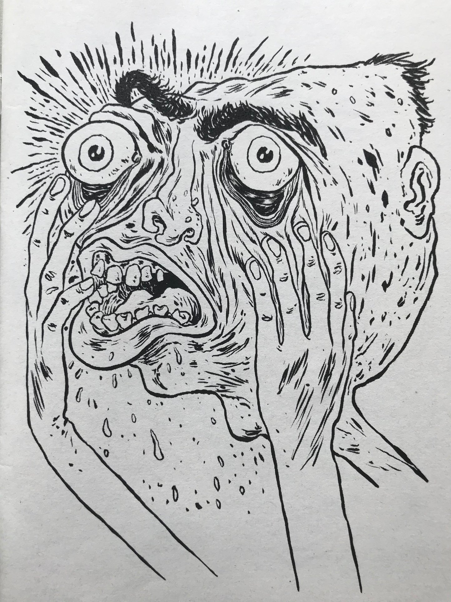 'Planète Oeuf' Zine