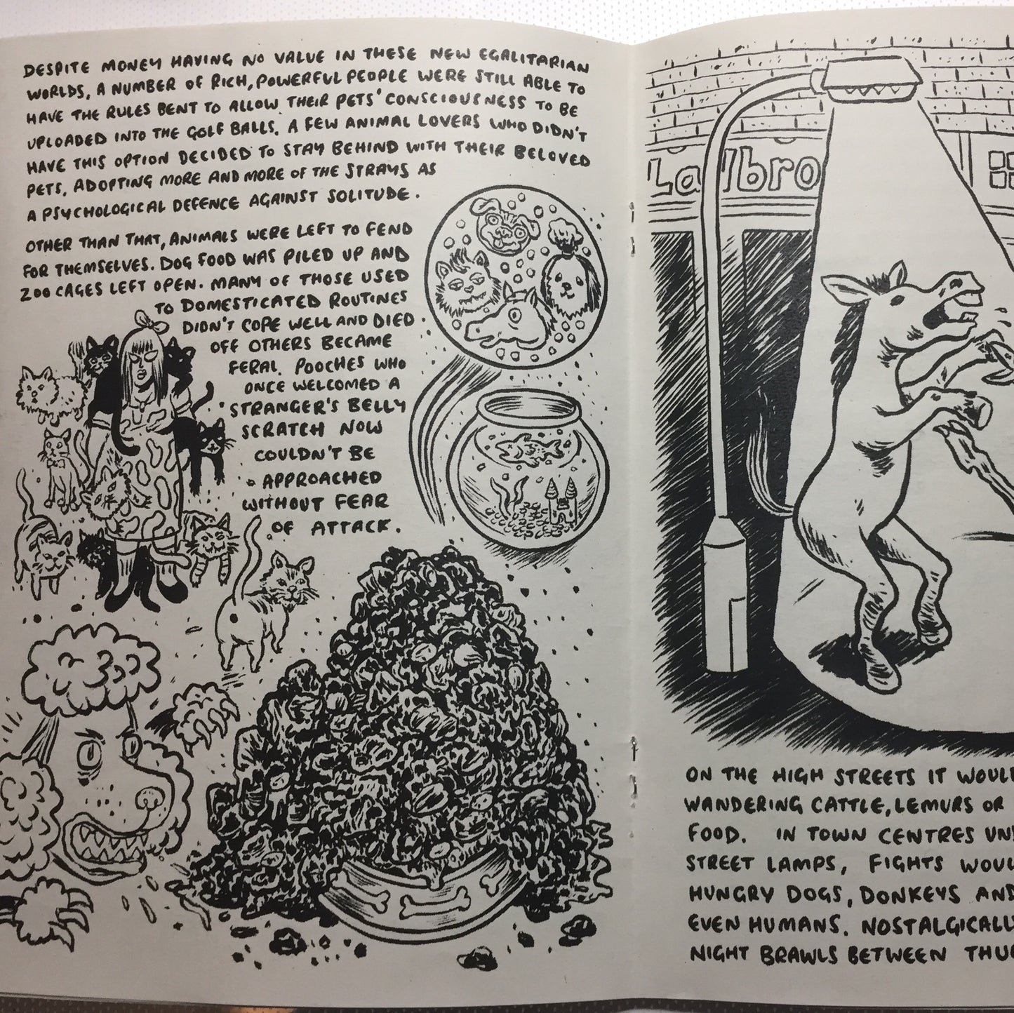 'Last of the Analogue People' Zine